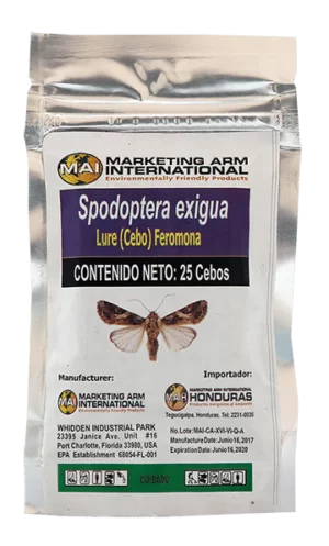 SPODOPTERA EXIGUA-cebos-feromonas-marketing-arm-international